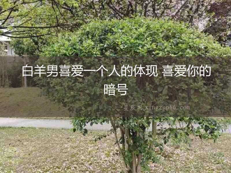 白羊男喜愛一個人的體現 喜愛你的暗號