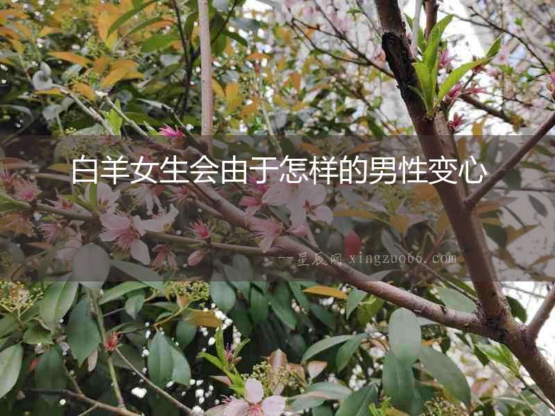 白羊女生會由于怎樣的男性變心