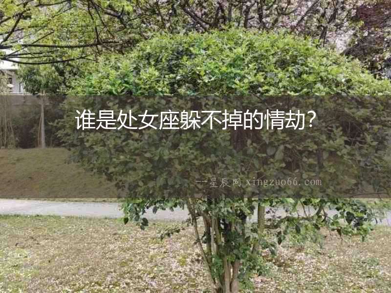 誰是處女座躲不掉的情劫？