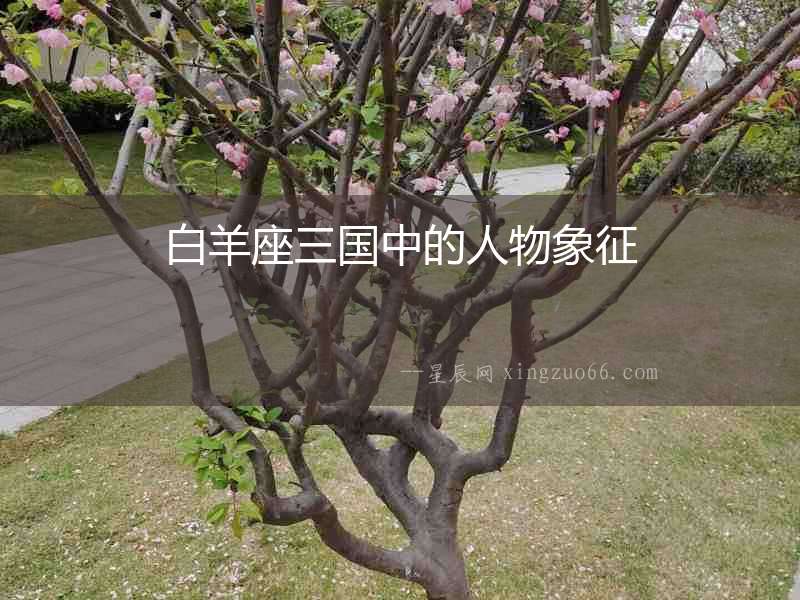 白羊座三國中的人物象征