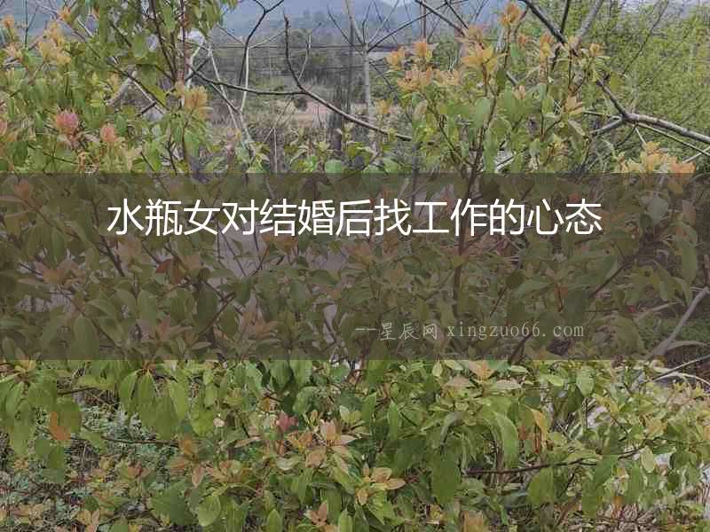 水瓶女對結婚后找工作的心態