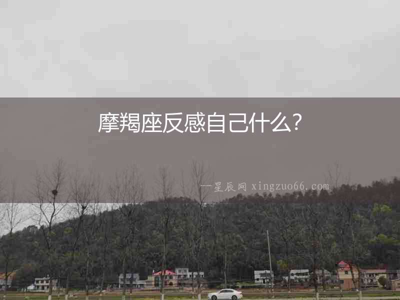 摩羯座反感自己什么？
