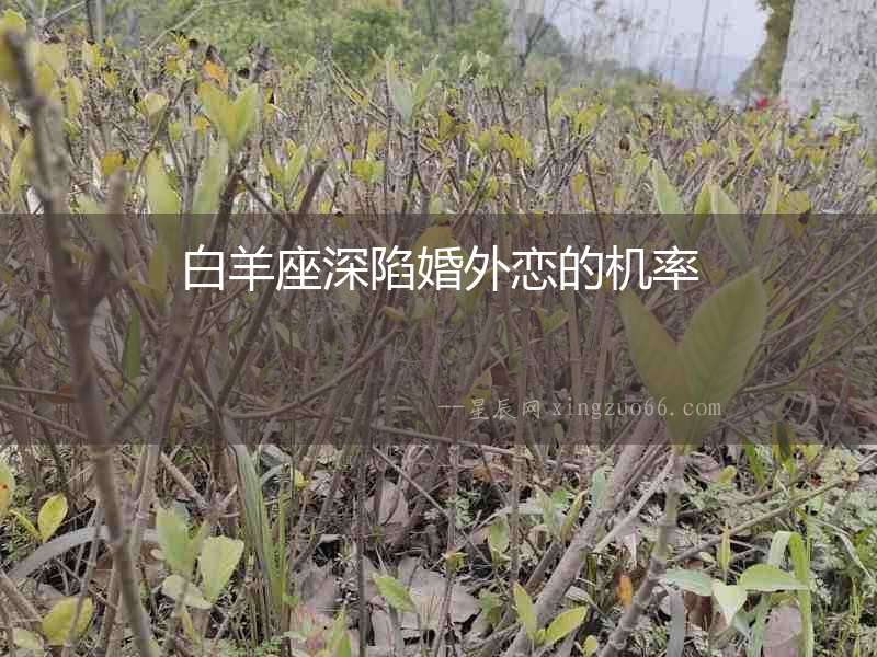 白羊座深陷婚外戀的機(jī)率