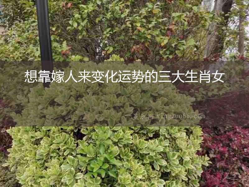想靠嫁人來變化運勢的三大生肖女
