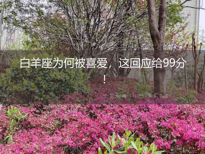 白羊座為何被喜愛，這回應給99分！