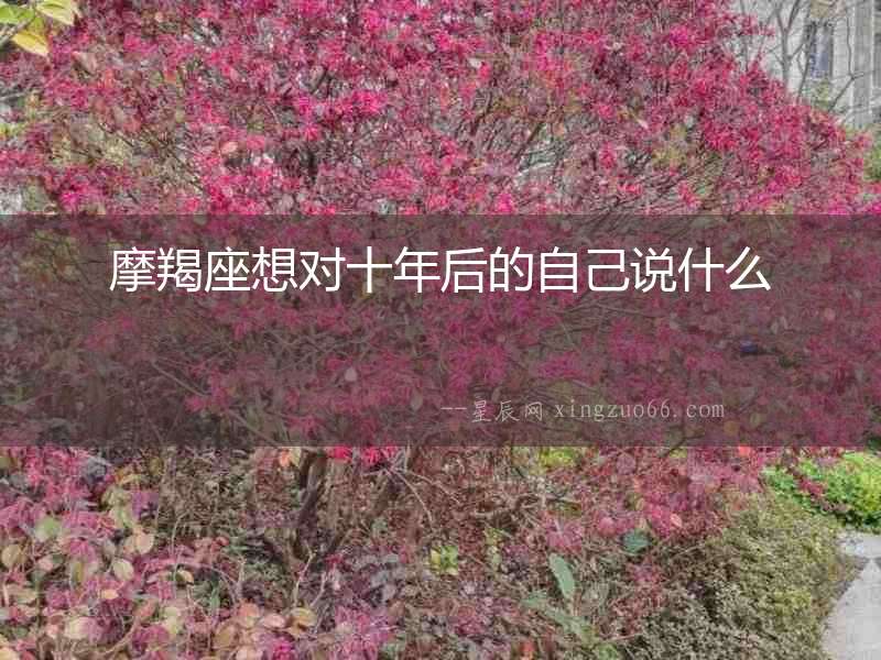 摩羯座想對(duì)十年后的自己說(shuō)什么