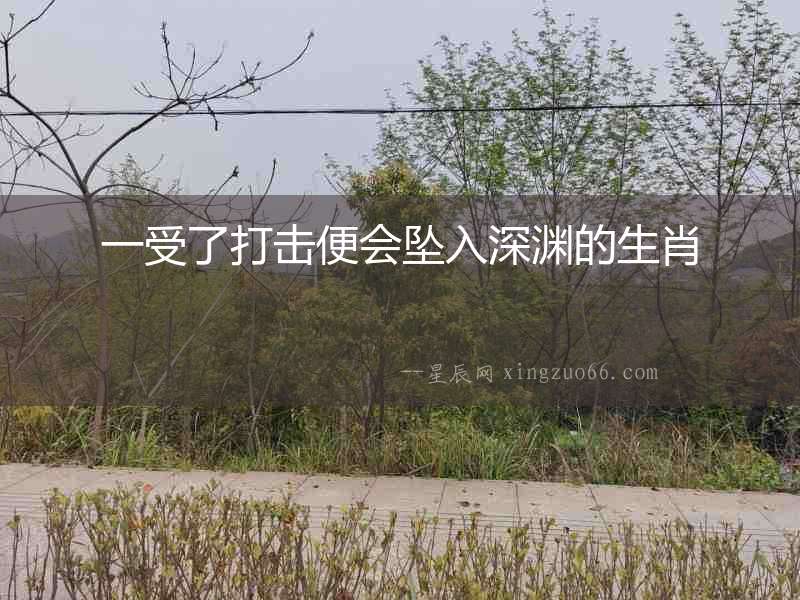 一受了打擊便會墜入深淵的生肖