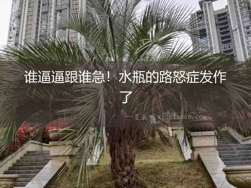 誰逼逼跟誰急！水瓶的路怒癥發作了