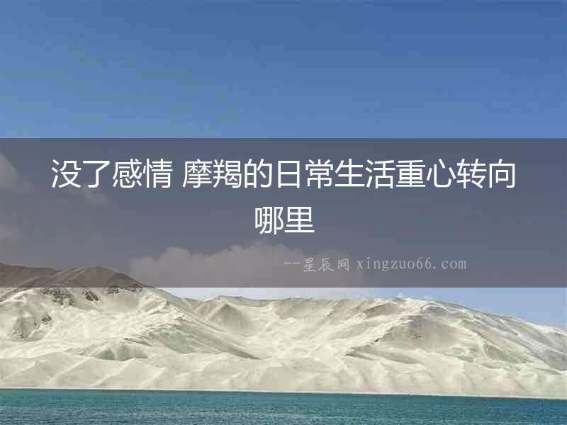 沒了感情 摩羯的日常生活重心轉向哪里