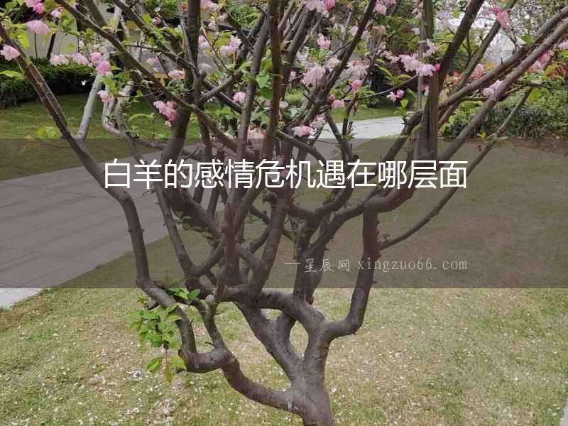 白羊的感情危機遇在哪層面