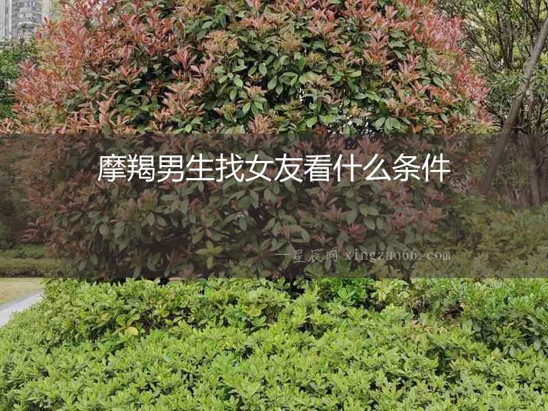 摩羯男生找女友看什么條件