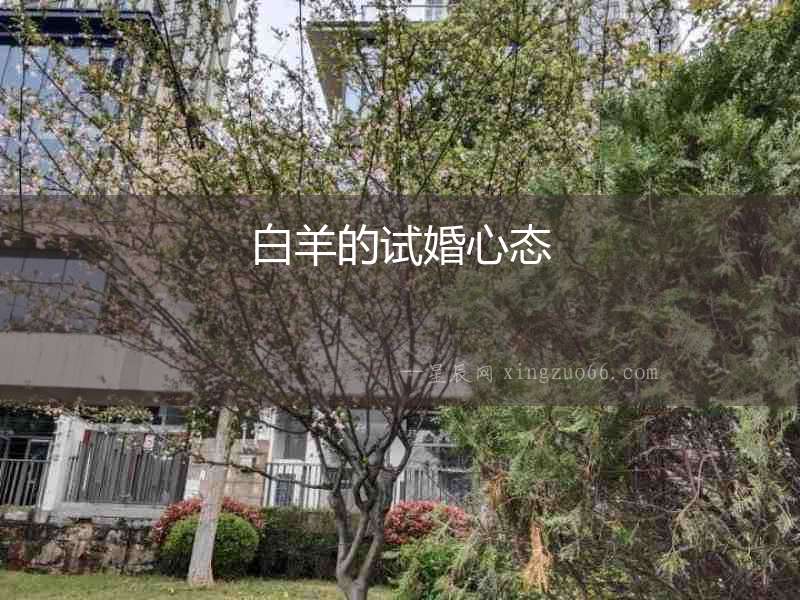 白羊的試婚心態