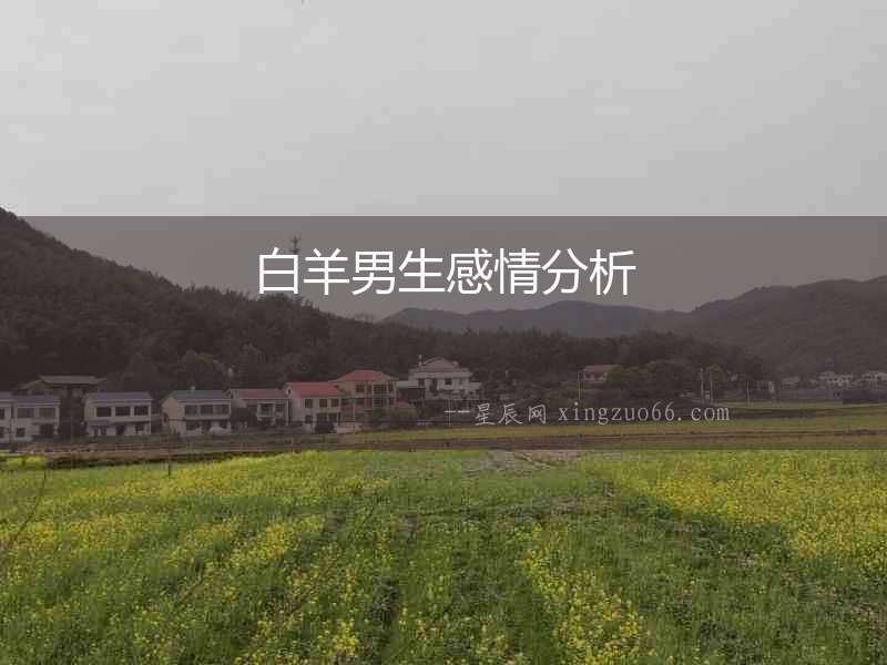 白羊男生感情分析
