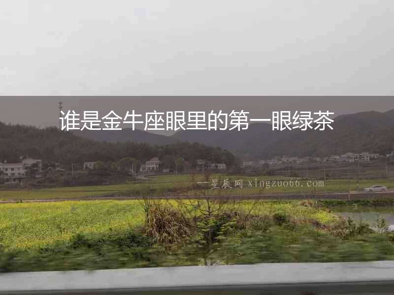誰是金牛座眼里的第一眼綠茶