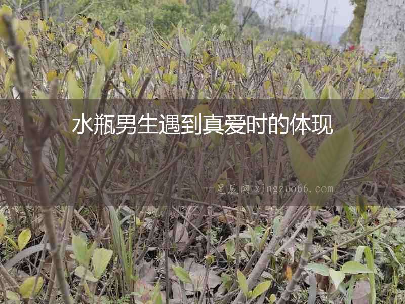 水瓶男生遇到真愛時的體現