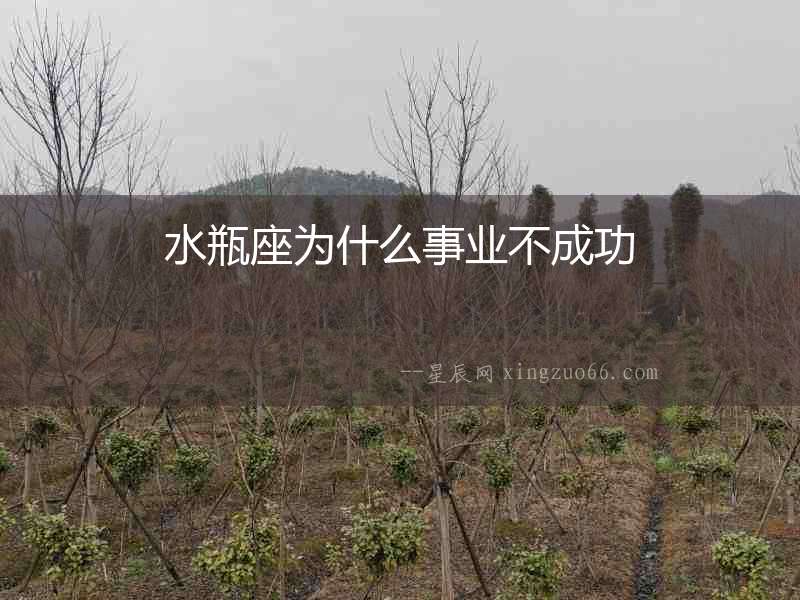 水瓶座為什么事業(yè)不成功