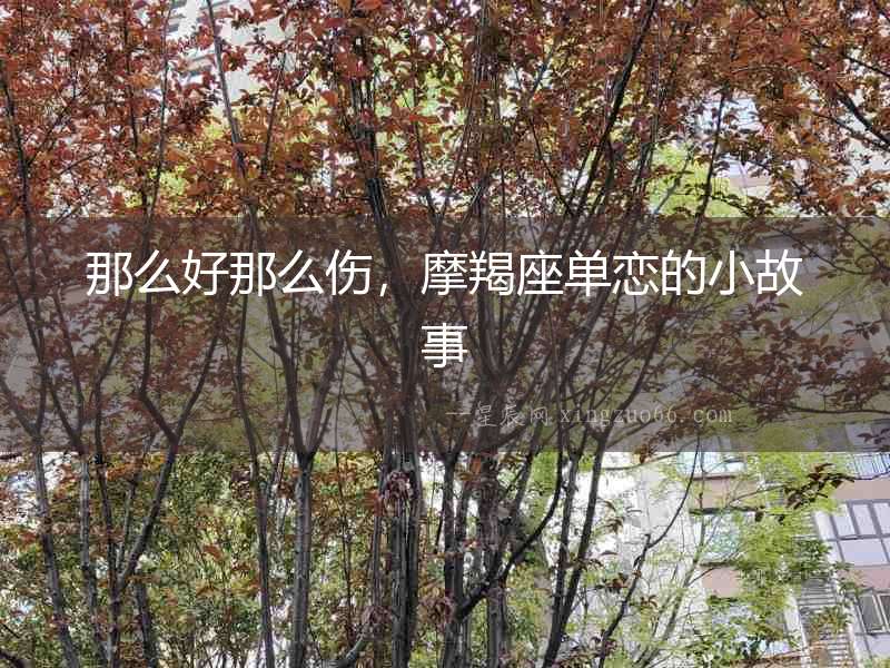 那么好那么傷，摩羯座單戀的小故事