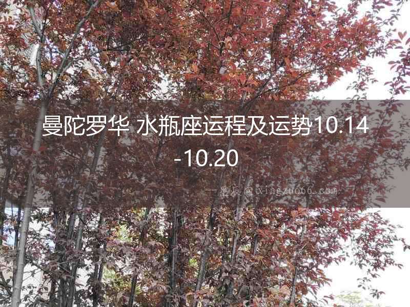 曼陀羅華 水瓶座運程及運勢10.14-10.20