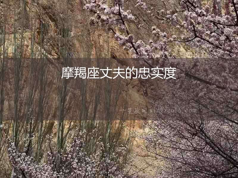 摩羯座丈夫的忠實度