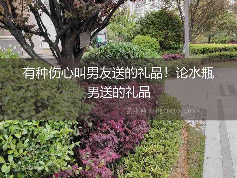 有種傷心叫男友送的禮品！論水瓶男送的禮品