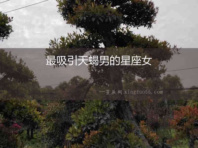 最吸引天蝎男的星座女