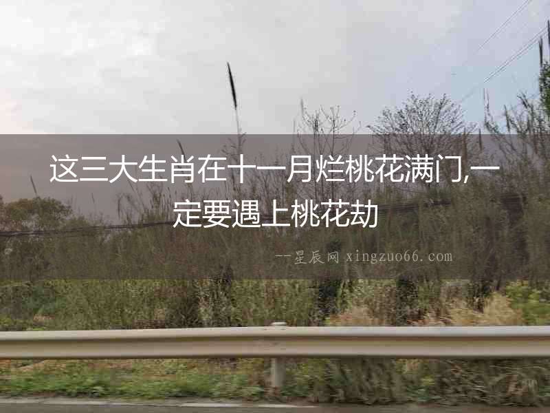 這三大生肖在十一月爛桃花滿門,一定要遇上桃花劫