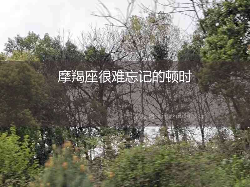 摩羯座很難忘記的頓時