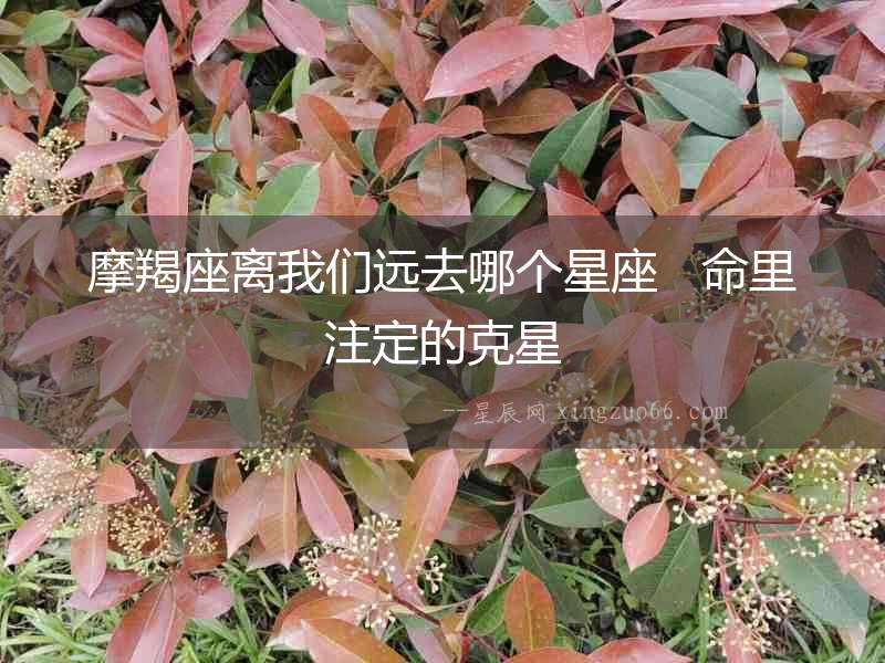 摩羯座離我們遠(yuǎn)去哪個(gè)星座   命里注定的克星