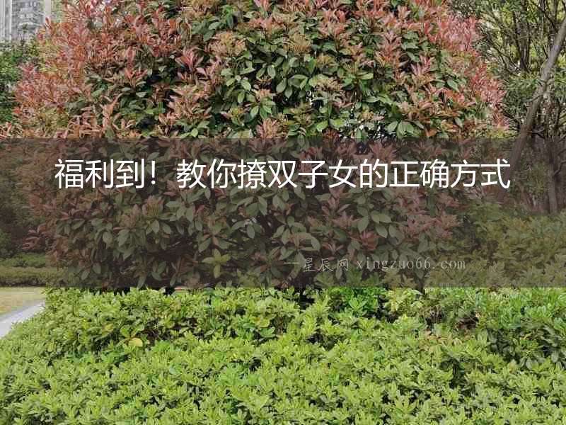 福利到！教你撩雙子女的正確方式