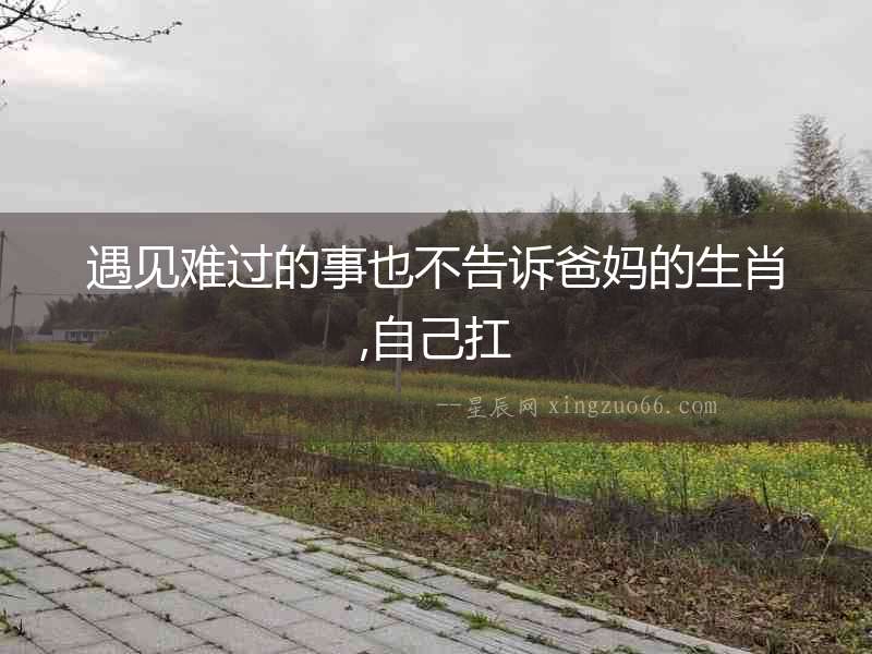 遇見難過(guò)的事也不告訴爸媽的生肖,自己扛