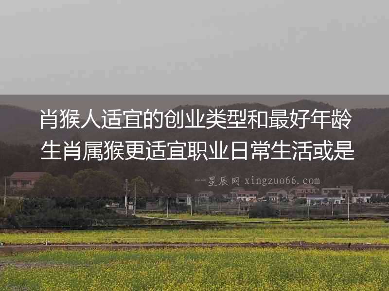 肖猴人適宜的創業類型和最好年齡 生肖屬猴更適宜職業日常生活或是自主創業