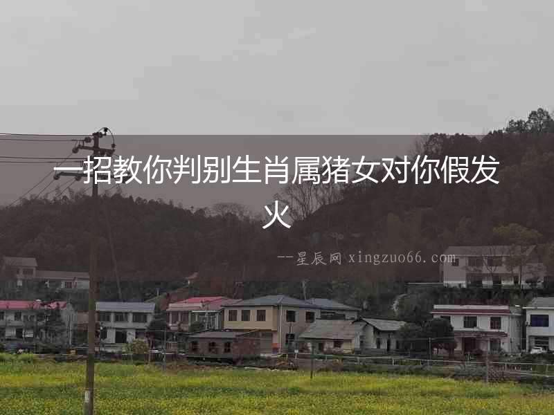 一招教你判別生肖屬豬女對你假發火