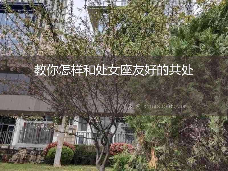 教你怎樣和處女座友好的共處