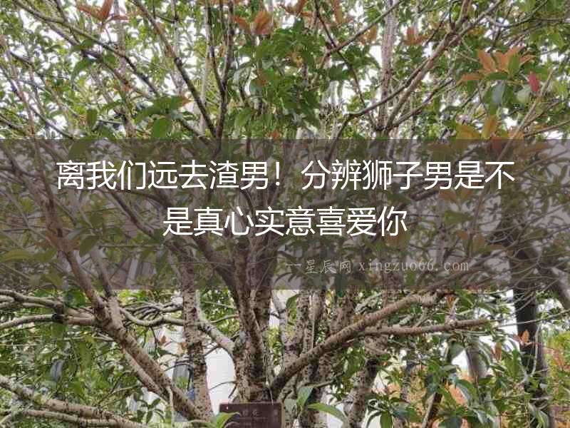離我們遠去渣男！分辨獅子男是不是真心實意喜愛你