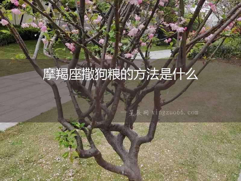 摩羯座撒狗糧的方法是什么