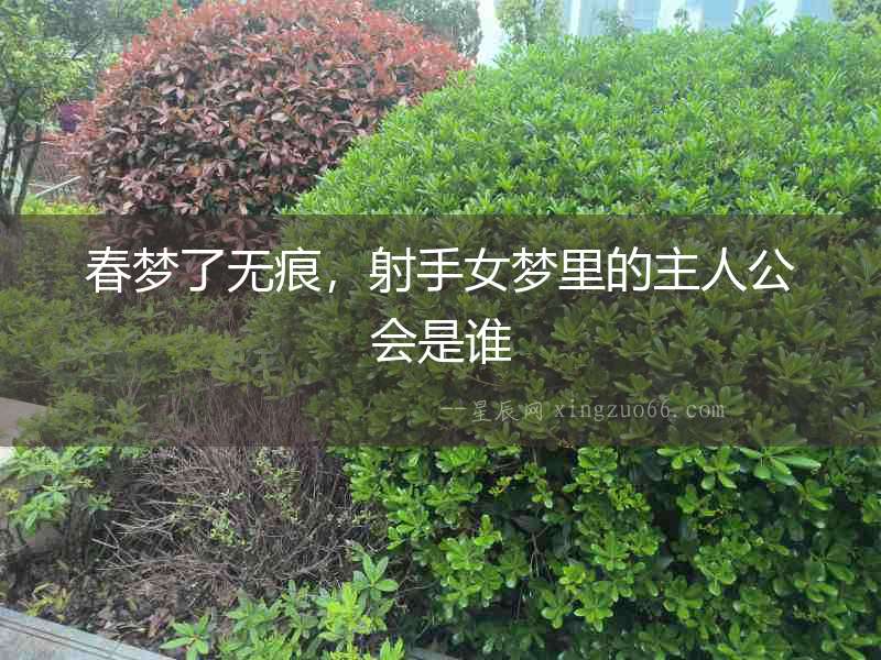 春夢了無痕，射手女夢里的主人公會是誰