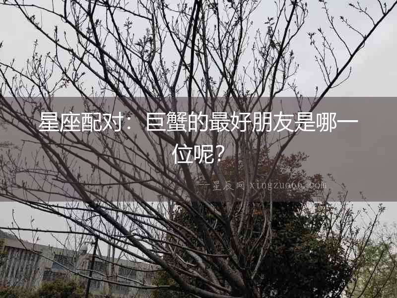 星座配對：巨蟹的最好朋友是哪一位呢？