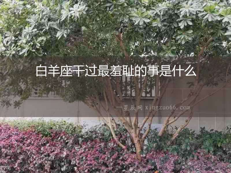 白羊座干過最羞恥的事是什么