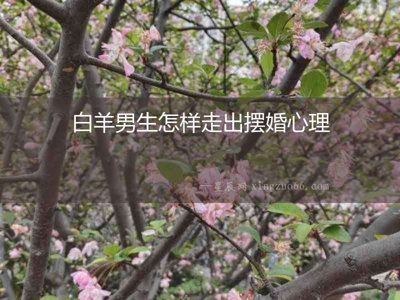 白羊男生怎樣走出擺婚心理