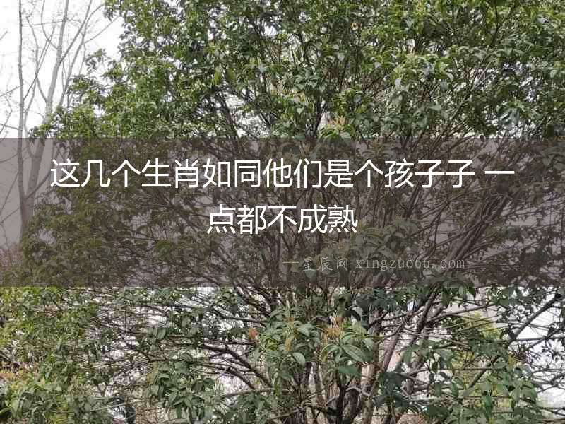 這幾個生肖如同他們是個孩子子 一點都不成熟