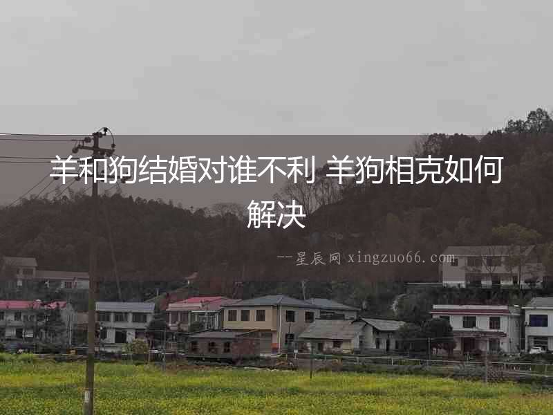 羊和狗結婚對誰不利 羊狗相克如何解決