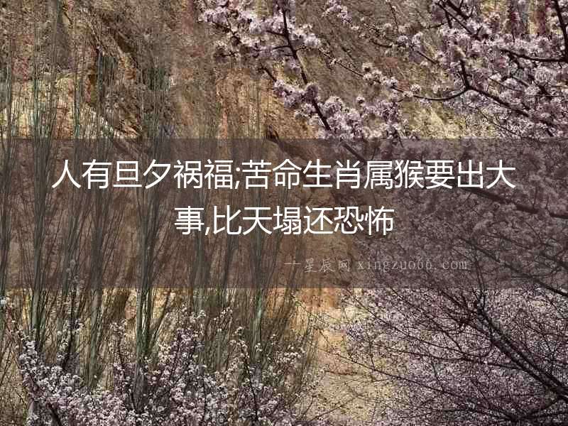 人有旦夕禍福;苦命生肖屬猴要出大事,比天塌還恐怖
