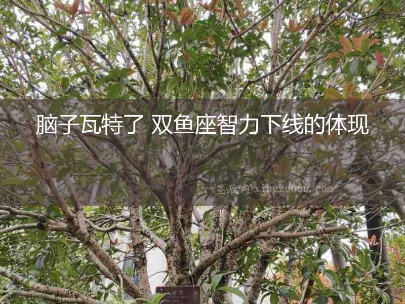 腦子瓦特了 雙魚座智力下線的體現