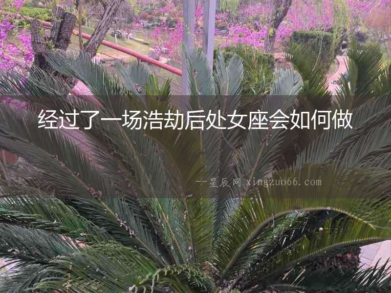 經過了一場浩劫后處女座會如何做