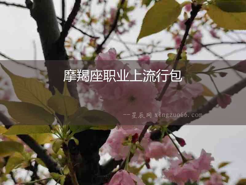 摩羯座職業上流行包