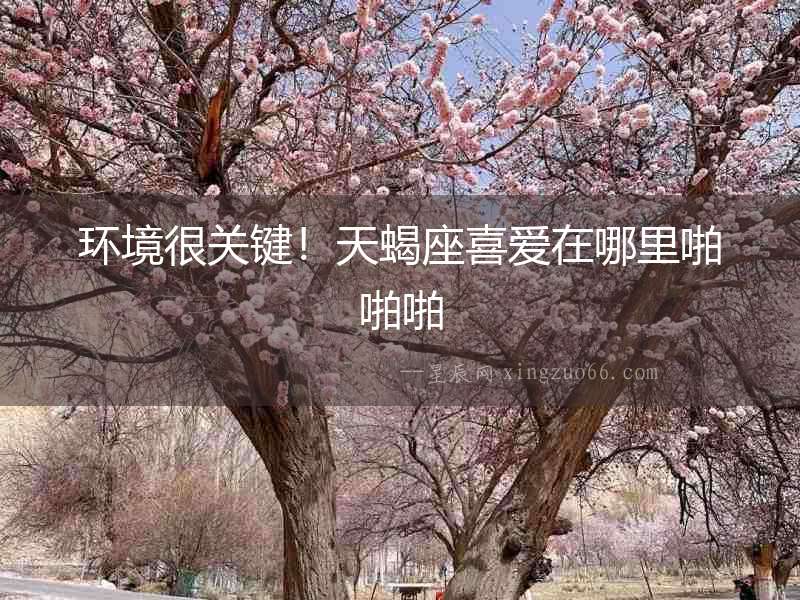 環境很關鍵！天蝎座喜愛在哪里啪啪啪