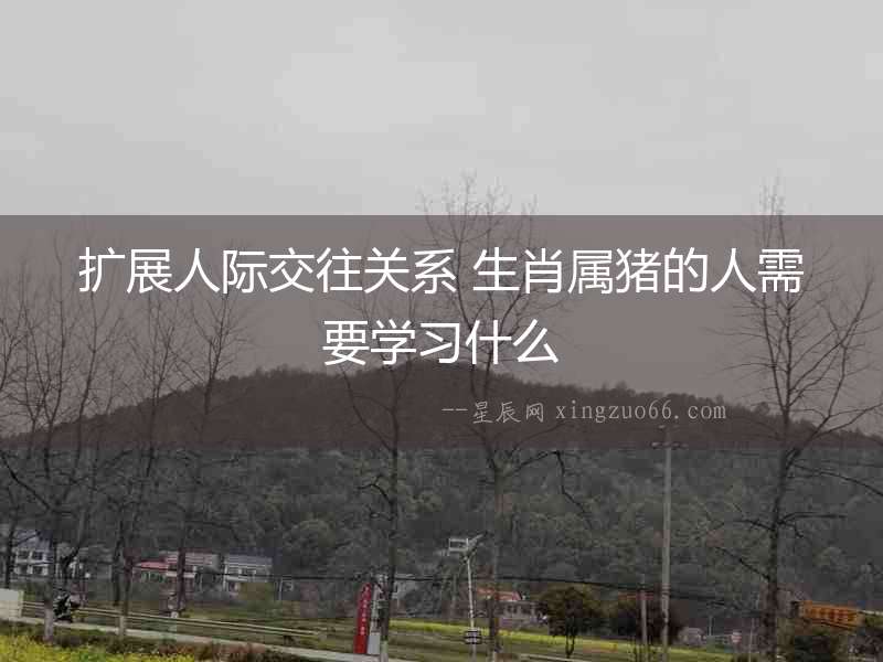 擴展人際交往關系 生肖屬豬的人需要學習什么