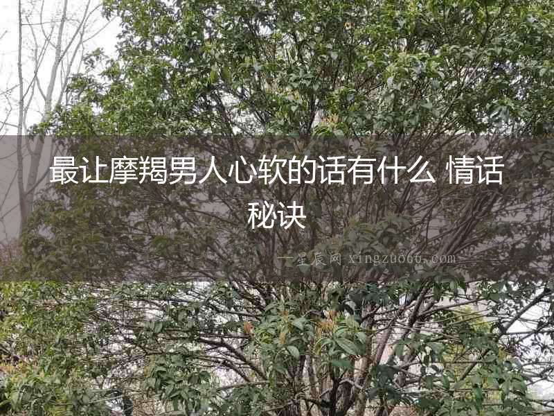 最讓摩羯男人心軟的話有什么 情話秘訣