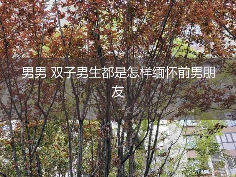 男男 雙子男生都是怎樣緬懷前男朋友