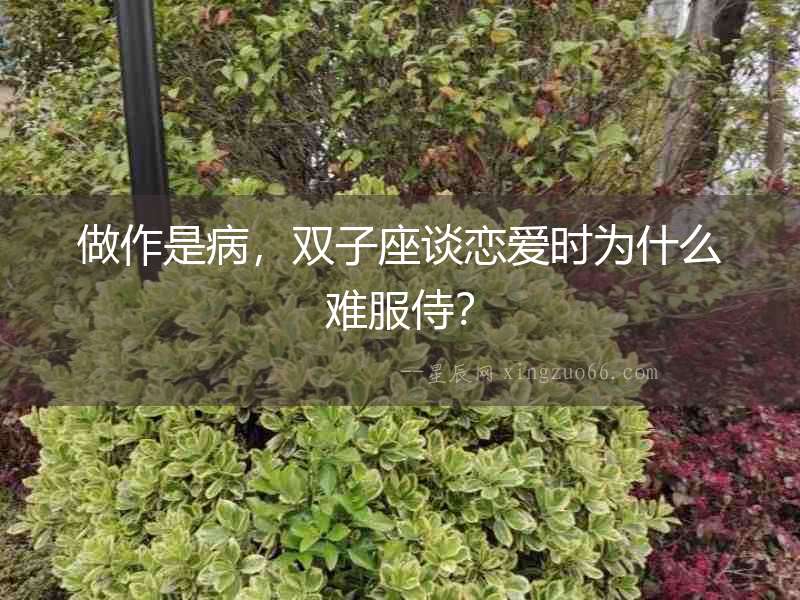 做作是病，雙子座談戀愛時為什么難服侍？